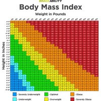 Average Height Weight Bmi Chart