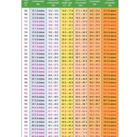 Average Height Weight Chart For Females