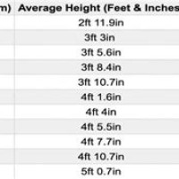 Average Male Height Chart By Age