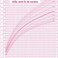 Average Pediatric Weight Chart