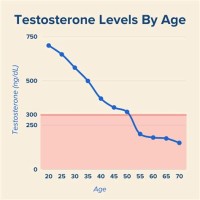 Average Testosterone Levels By Age Chart