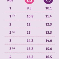 Average Toddler Height And Weight Chart