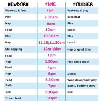 Babies Daily Routine Chart