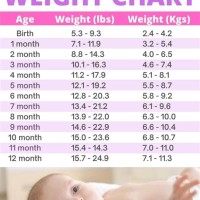 Baby Age Weight Chart Lbs