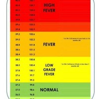 Baby Body Temperature Chart Celsius