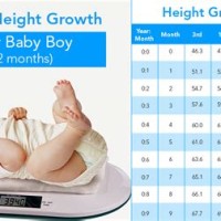 Baby Body Weight Height Chart