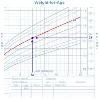Baby Boy Growth Chart 18 Months Uk