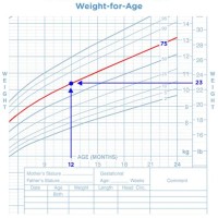 Baby Boy Growth Chart 18 Months