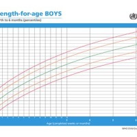 Baby Boy Growth Chart 6 Months