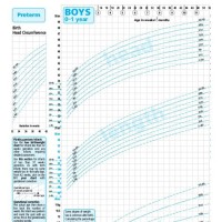 Baby Boy Growth Chart Nz