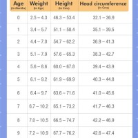 Baby Boy Height And Weight Chart Singapore