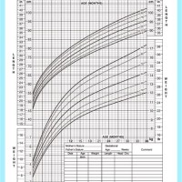 Baby Boy Height And Weight Growth Chart