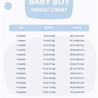 Baby Boy Height Chart Cm