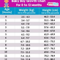 Baby Boy Height Weight Chart India