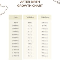 Baby Development Chart After Birth