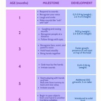 Baby Development Chart By Month