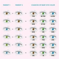 Baby Eye Color Chart Hazel And Blue