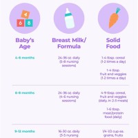 Baby Feeding Chart Solids And Formula