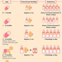 Baby Food Intake Chart