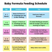 Baby Formula Feeding Chart 1 Month Old