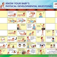 Baby Growth And Development Chart