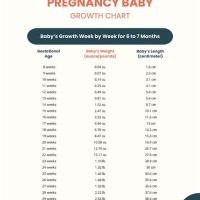 Baby Growth Chart In Pregnancy Hindi