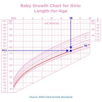 Baby Growth Chart In Womb Uk