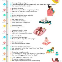 Baby Growth Milestone Chart