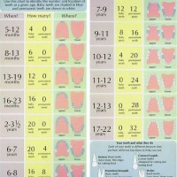 Baby Growth Spurt Chart Boy