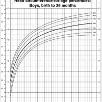 Baby Head Size Percentile Chart