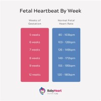 Baby Heart Rate Chart During Pregnancy