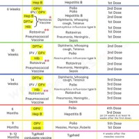 Baby Immunisation Chart India