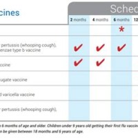 Baby Immunization Chart Canada