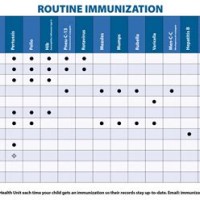 Baby Immunization Chart Ontario