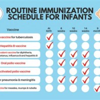 Baby Immunization Chart Philippines