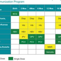 Baby Immunization Schedule Chart Uae