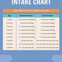 Baby Intake Chart Formula