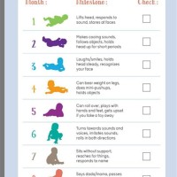 Baby Milestone Chart 5 Months