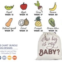 Baby Size Chart By Month During Pregnancy