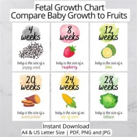 Baby Size Chart By Month Pregnancy