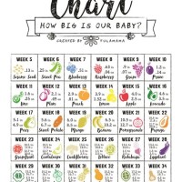 Baby Size Chart Per Week