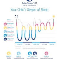 Baby Sleep Cycle Chart 4 Months