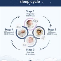 Baby Sleep Cycle Chart 5 Months