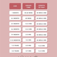 Baby Sleep Duration Chart