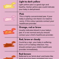 Baby Urine Colour Chart