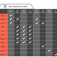 Baby Vaccination Schedule Chart India