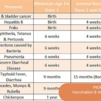 Baby Vaccine Chart In India 2017