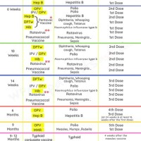 Baby Vaccine Schedule Chart India