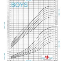 Baby Weight And Height Chart Canada