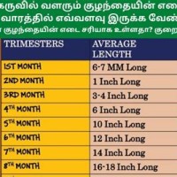 Baby Weight Chart During Pregnancy In Grams India